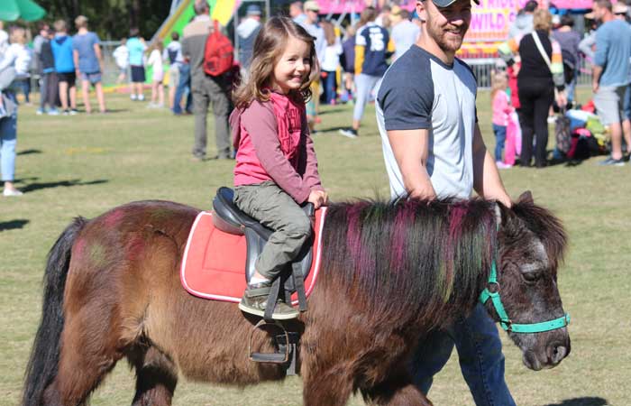 Pony Rides for Hire Melbourne